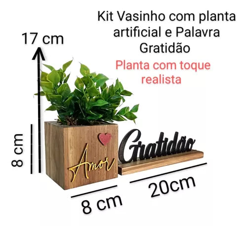 Vasinho + Palavra Gratidão + Brinde 1 Flor