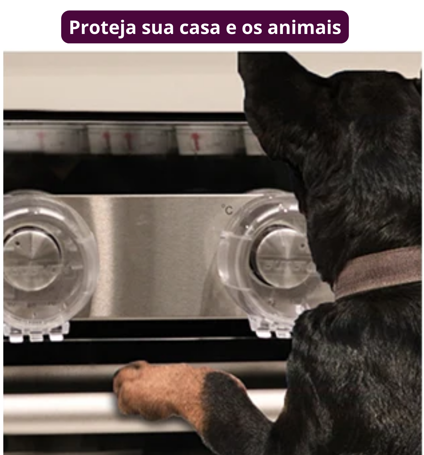 Protetor para botão do Cooktop ou fogão - KIT com 6 peças