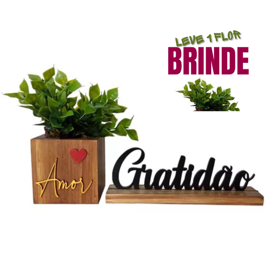 Vasinho + Palavra Gratidão + Brinde 1 Flor