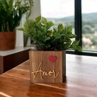 Vasinho + Palavra Gratidão + Brinde 1 Flor