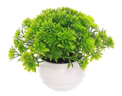 Vasinhos Plantas kit com 4 unidades + Brinde com 4 Flores  Artificiais